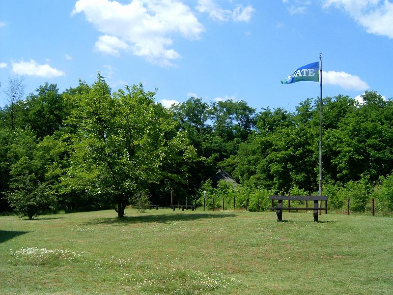 20100709 019.jpg